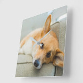 Kutest Baby Animals | Corgi Puppy op de bank Vierkante Klok (Hoek)