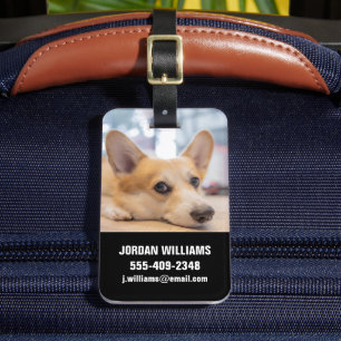 Kutest Baby Animals   Corgi Puppy op de vloer Bagagelabel