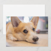 Kutest Baby Animals | Corgi Puppy op de vloer Bedankkaart (Voorkant / Achterkant)