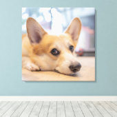 Kutest Baby Animals | Corgi Puppy op de vloer Canvas Afdruk (Insitu (Houten vloer))