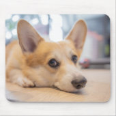 Kutest Baby Animals | Corgi Puppy op de vloer Muismat (Voorkant)