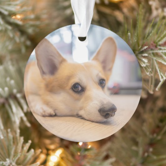 Kutest Baby Animals | Corgi Puppy op de vloer Ornament (Boom)