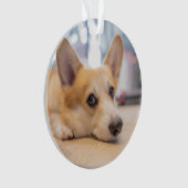 Kutest Baby Animals | Corgi Puppy op de vloer Ornament (voorkant)