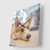 Kutest Baby Animals | Corgi Puppy op de vloer Vierkante Klok (Hoek)