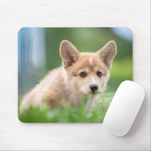 Kutest Baby Animals Corgi Puppy op de Yard Muismat