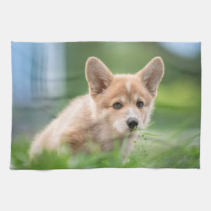 Kutest Baby Animals Corgi Puppy op de Yard Theedoek