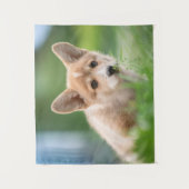 Kutest Baby Animals | Corgi Puppy op de Yard Wandkleed (Voorkant)