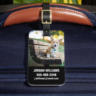 Kutest Baby Animals   Corgi Puppy op een parkbank Bagagelabel