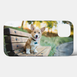 Kutest Baby Animals Corgi Puppy op een parkbank Case-Mate iPhone Case