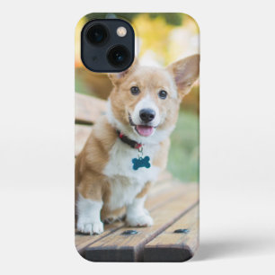 Kutest Baby Animals   Corgi Puppy op een parkbank iPhone 13 Hoesje