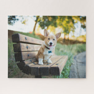 Kutest Baby Animals   Corgi Puppy op een parkbank Legpuzzel