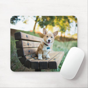 Kutest Baby Animals Corgi Puppy op een parkbank Muismat