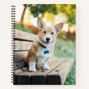 Kutest Baby Animals Corgi Puppy op een parkbank Notitieboek