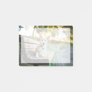Kutest Baby Animals   Corgi Puppy op een parkbank Post-it® Notes
