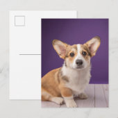Kutest Baby Animals | Corgi Puppy op Paars Briefkaart (Voorkant / Achterkant)