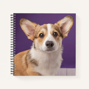 Kutest Baby Animals   Corgi Puppy op Paars Notitieboek