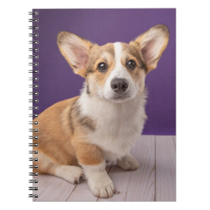 Kutest Baby Animals   Corgi Puppy op Paars Notitieboek