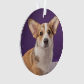 Kutest Baby Animals | Corgi Puppy op Paars Ornament (voorkant)