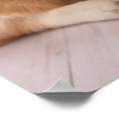 Kutest Baby Animals | Corgi Puppy op Paars Poster (Hoek)