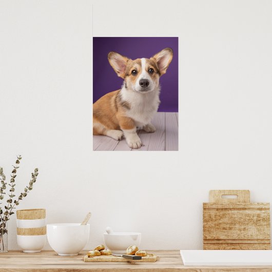 Kutest Baby Animals | Corgi Puppy op Paars Poster (Keuken)