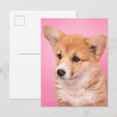 Kutest Baby Animals | Corgi Puppy op roze Briefkaart (Voorkant / Achterkant)