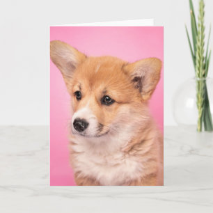 Kutest Baby Animals Corgi Puppy op roze Kaart