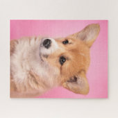 Kutest Baby Animals | Corgi Puppy op roze Legpuzzel (Horizontaal)