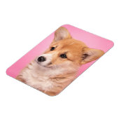 Kutest Baby Animals | Corgi Puppy op roze Magneet (Linkerzijde)