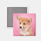 Kutest Baby Animals | Corgi Puppy op roze Magneet (Voorkant / Achterkant)