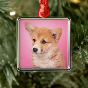 Kutest Baby Animals   Corgi Puppy op roze Metalen Ornament