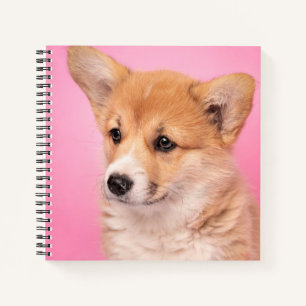 Kutest Baby Animals Corgi Puppy op roze Notitieboek
