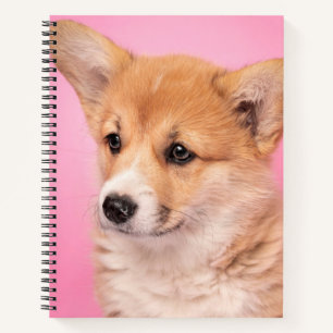 Kutest Baby Animals   Corgi Puppy op roze Notitieboek