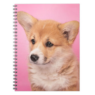 Kutest Baby Animals   Corgi Puppy op roze Notitieboek