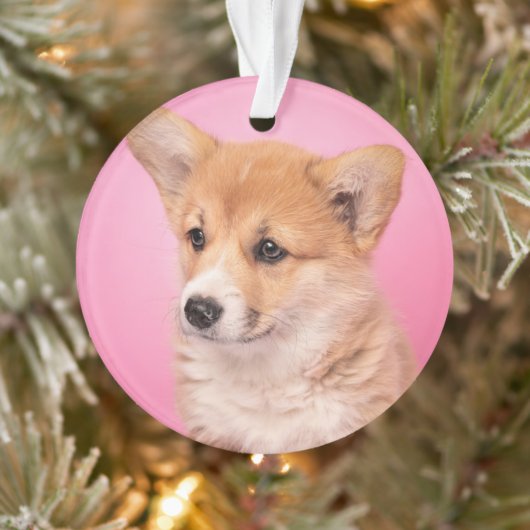 Kutest Baby Animals | Corgi Puppy op roze Ornament (Boom)