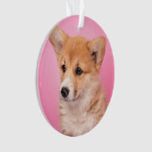 Kutest Baby Animals | Corgi Puppy op roze Ornament (voorkant)