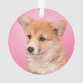 Kutest Baby Animals | Corgi Puppy op roze Ornament (achterkant)