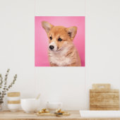 Kutest Baby Animals | Corgi Puppy op roze Poster (Keuken)