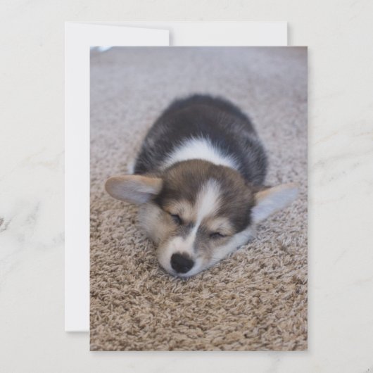 Kutest Baby Animals | Corgi Puppy op Shag Rug Bedankkaart (Voorkant)