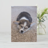 Kutest Baby Animals | Corgi Puppy op Shag Rug Bedankkaart (Staand voorkant)