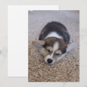Kutest Baby Animals | Corgi Puppy op Shag Rug Bedankkaart (Voorkant / Achterkant)
