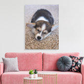 Kutest Baby Animals | Corgi Puppy op Shag Rug Canvas Afdruk (Insitu (Woonkamer))