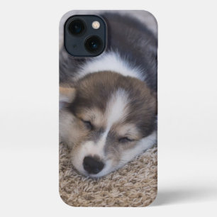 Kutest Baby Animals   Corgi Puppy op Shag Rug iPhone 13 Hoesje