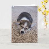 Kutest Baby Animals | Corgi Puppy op Shag Rug Kaart (Gele Bloem)