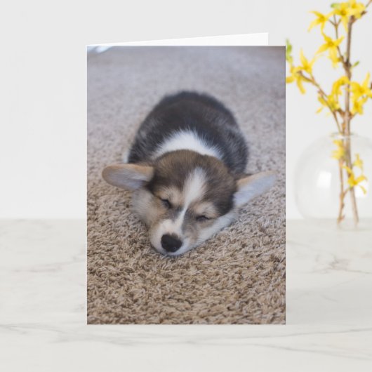 Kutest Baby Animals | Corgi Puppy op Shag Rug Kaart (Gele Bloem)