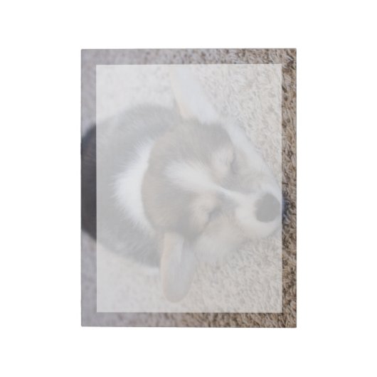 Kutest Baby Animals | Corgi Puppy op Shag Rug Notitieblok (Linkerzijde)