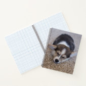 Kutest Baby Animals | Corgi Puppy op Shag Rug Notitieboek (Binnen)