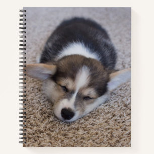 Kutest Baby Animals   Corgi Puppy op Shag Rug Notitieboek