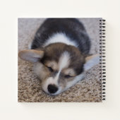 Kutest Baby Animals | Corgi Puppy op Shag Rug Notitieboek (Achterkant)