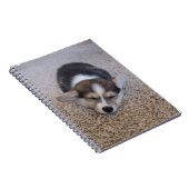 Kutest Baby Animals | Corgi Puppy op Shag Rug Notitieboek (Rechterzijde)