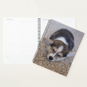 Kutest Baby Animals   Corgi Puppy op Shag Rug Planner